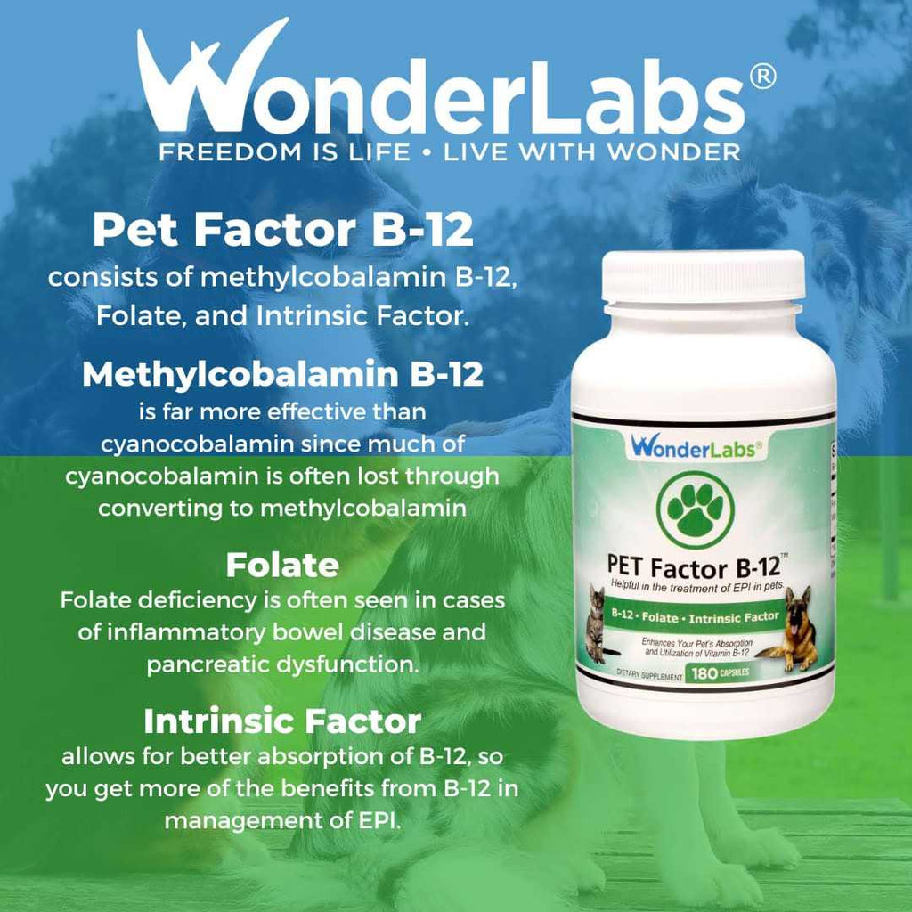Pet Factor B-12 Y7245