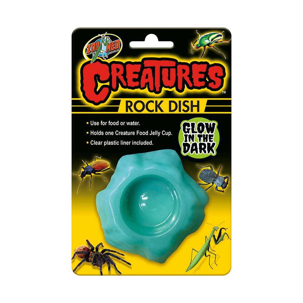 Hermit Crab Shell H622