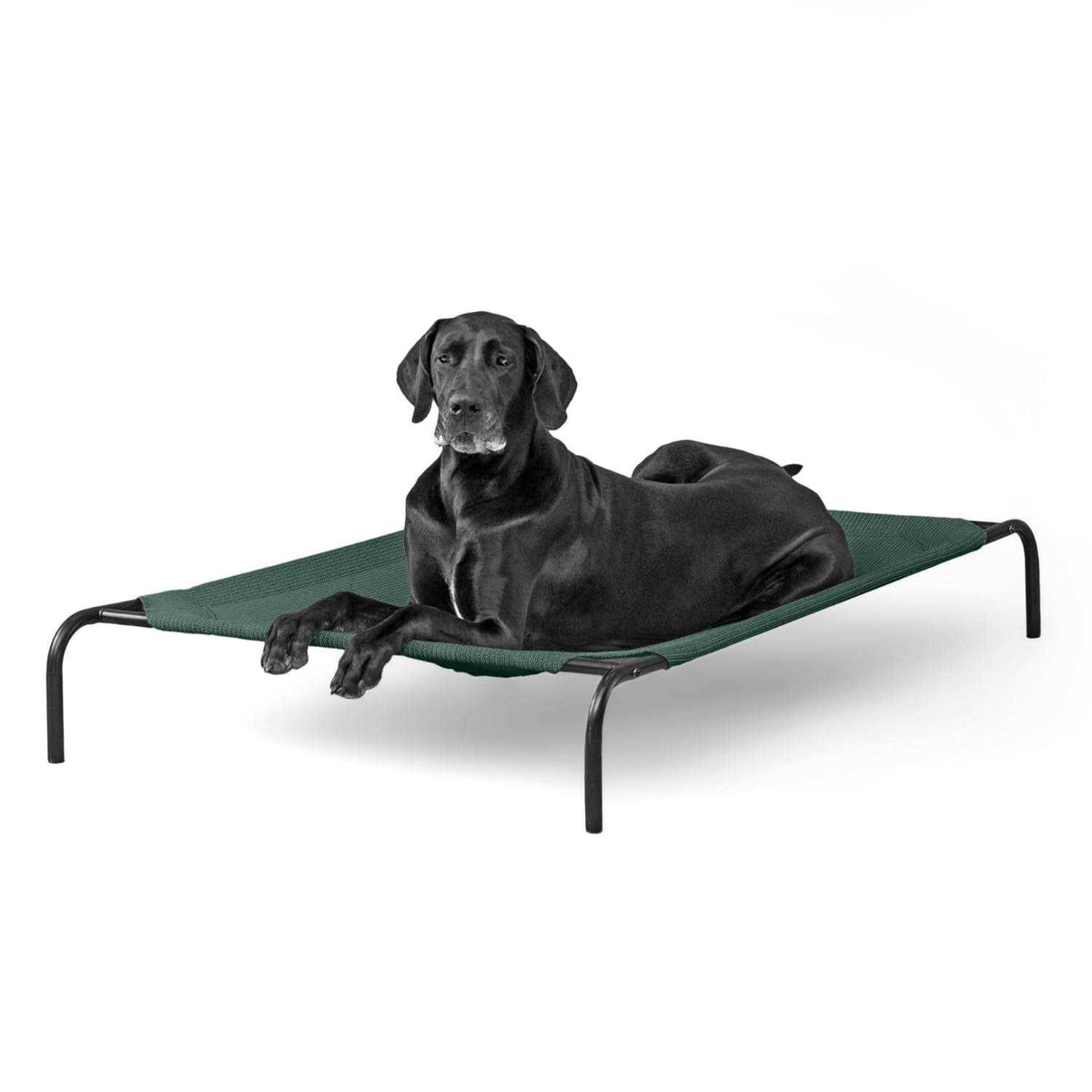 Elevated Pet Bed Q915