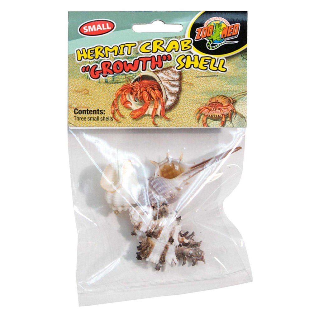 Hermit Crab Shell H622
